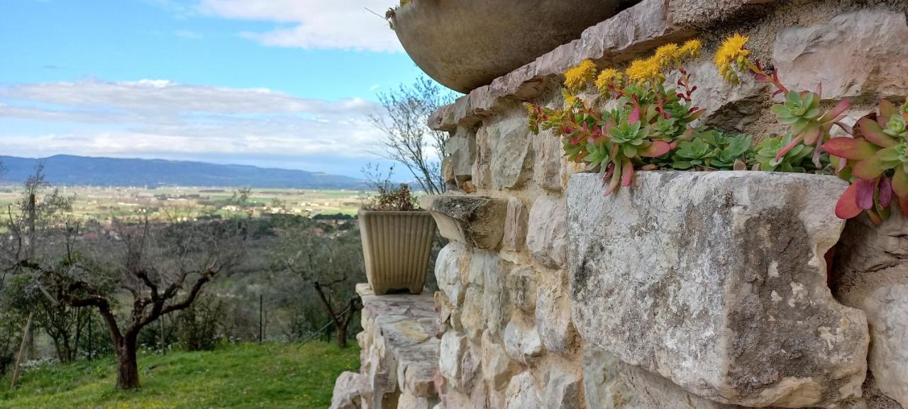 Domus Antiqua Bed & Breakfast Spello Kültér fotó