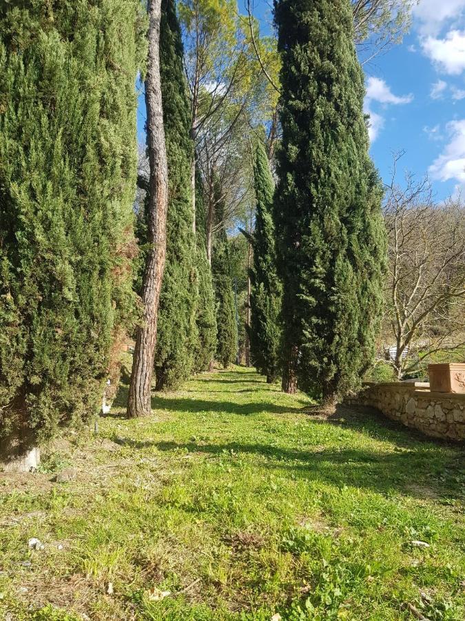Domus Antiqua Bed & Breakfast Spello Kültér fotó