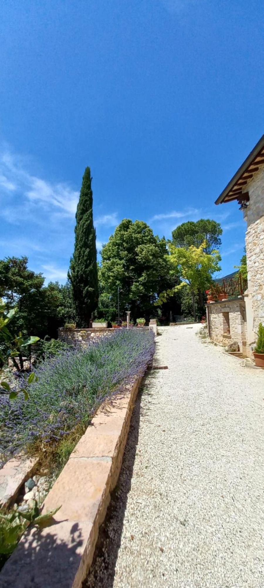 Domus Antiqua Bed & Breakfast Spello Kültér fotó