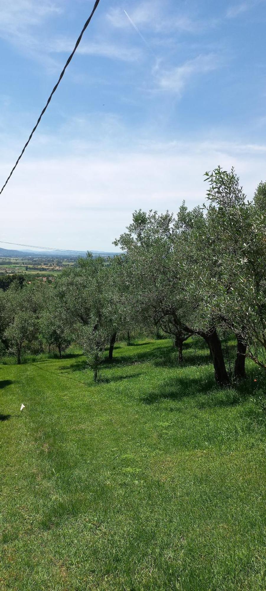 Domus Antiqua Bed & Breakfast Spello Kültér fotó